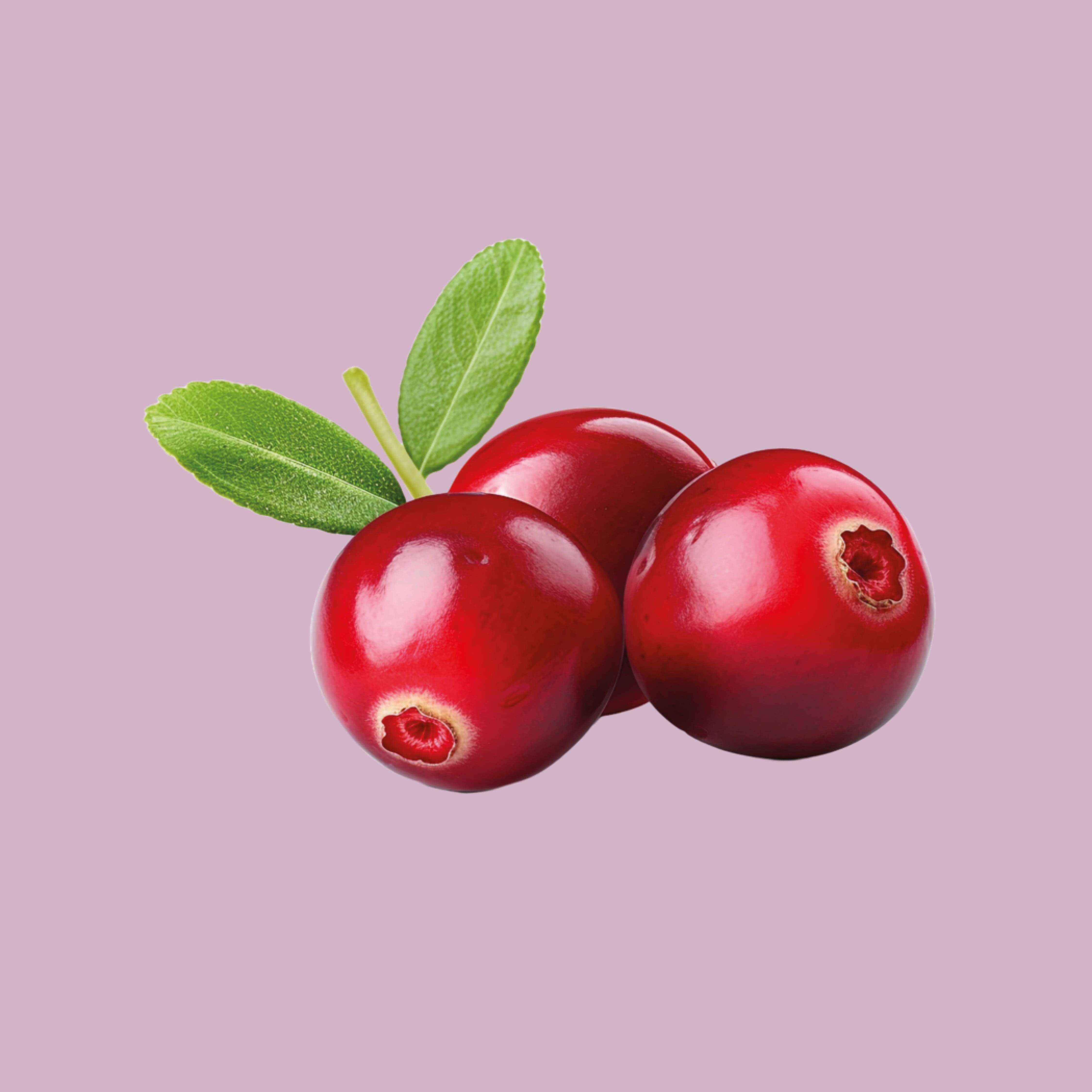 Cranberry